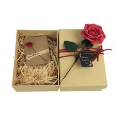 Nā pahu paʻi makana